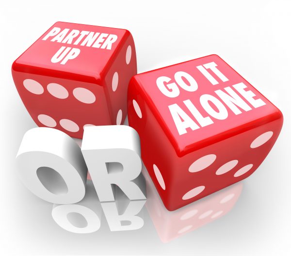 pair of dice that say "partner up" or "go it alone"