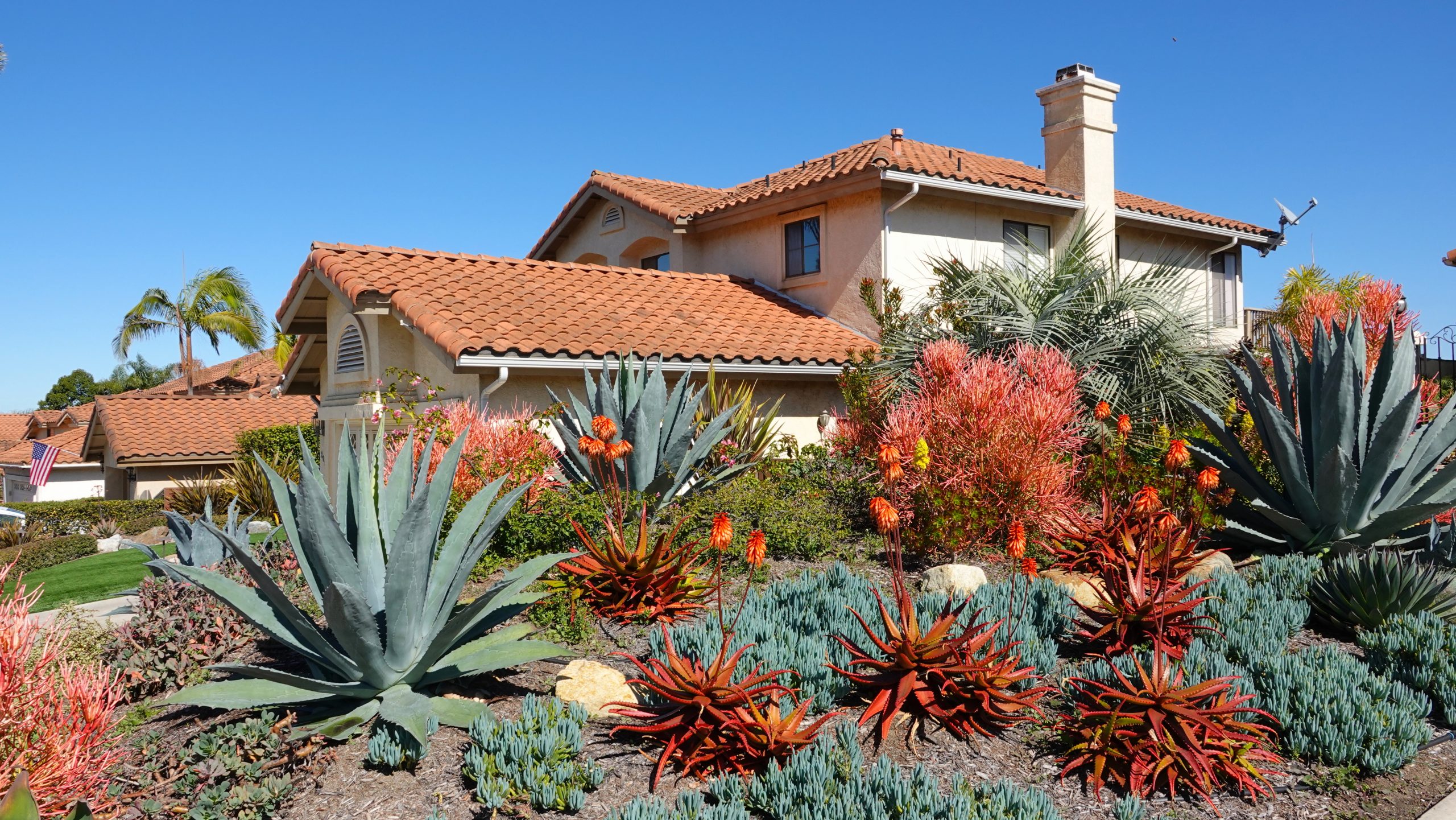 Native landscaping in a dry climate with drought resistant plants