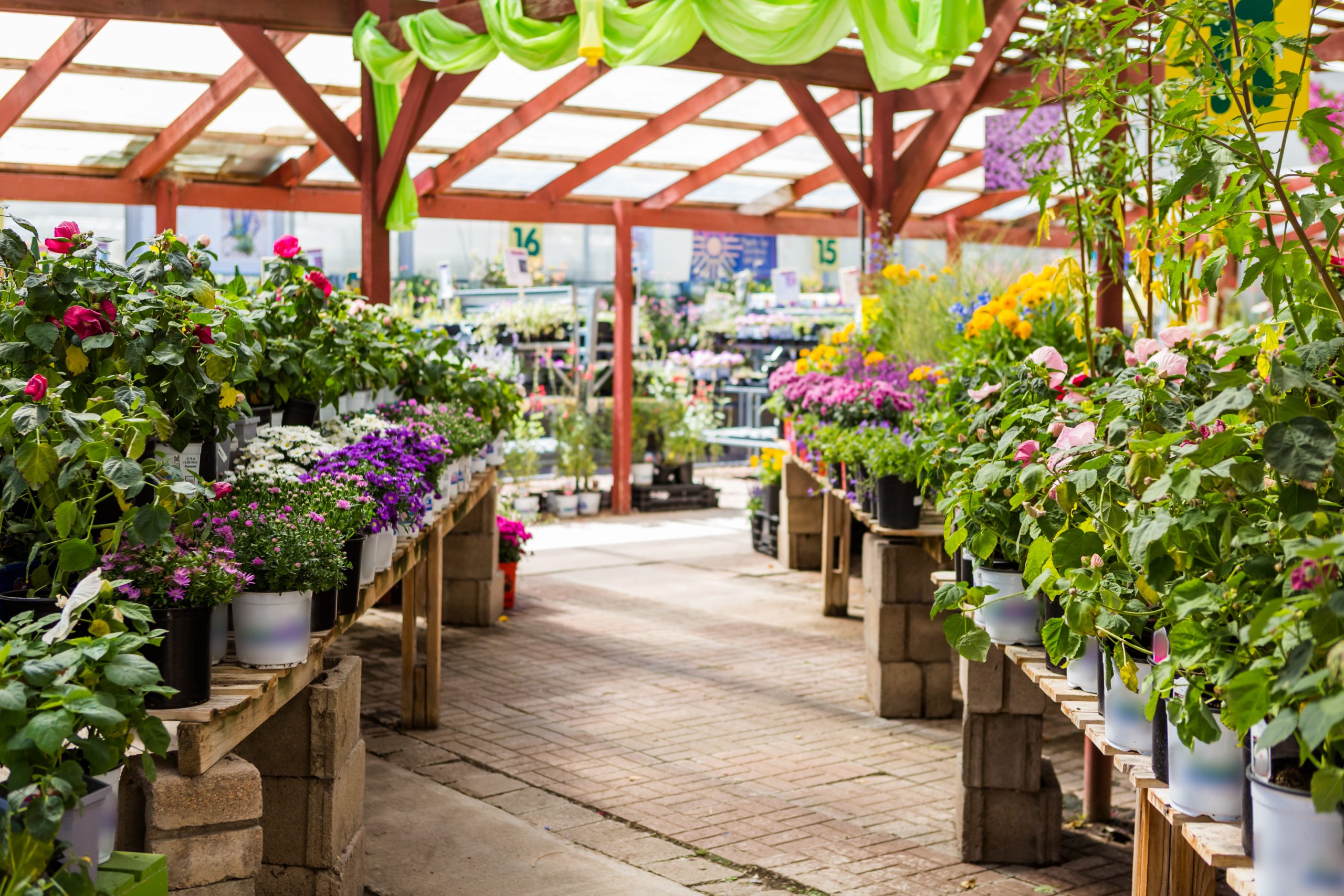 Plants at a local garden center for native landscaping shopping